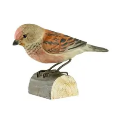Fanello eurasiatico (legno)