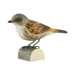 Passera scopaiola (legno)