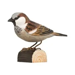 Passera europea (legno)