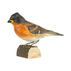 Peppola (legno)