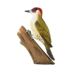 Picchio verde (legno)