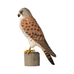 Gheppio (legno)