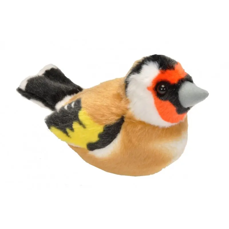 Cardellino (con suono)