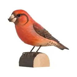Crociere comune (legno)