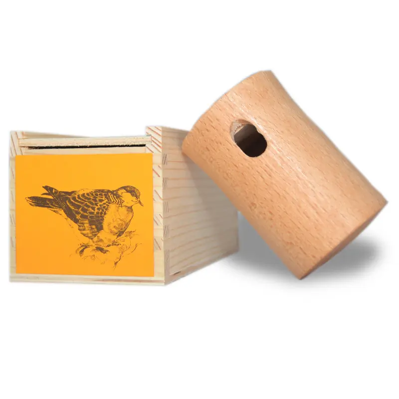 Tortora europea (fischietto)