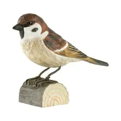 Passero mattugio (legno)