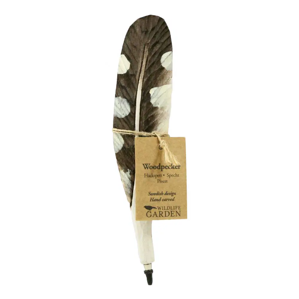 Penna (picchio)