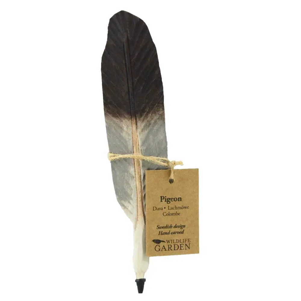 Penna (piccione)