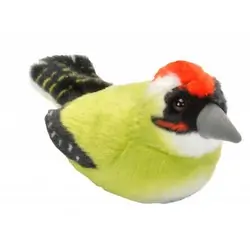 Picchio verde (con suono)
