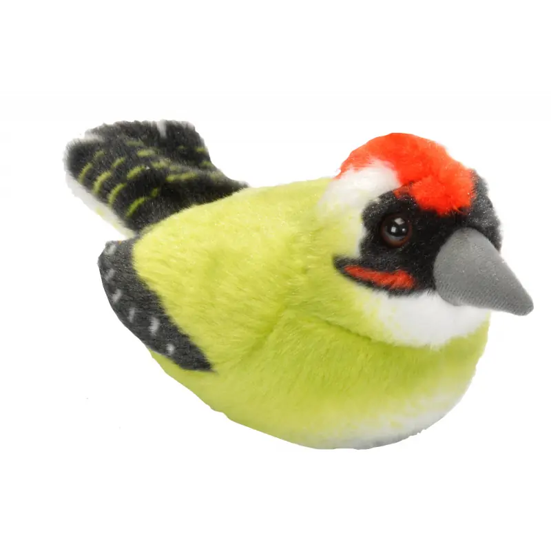 Picchio verde (con suono)
