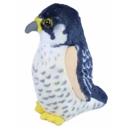 Pellegrino (con suono)