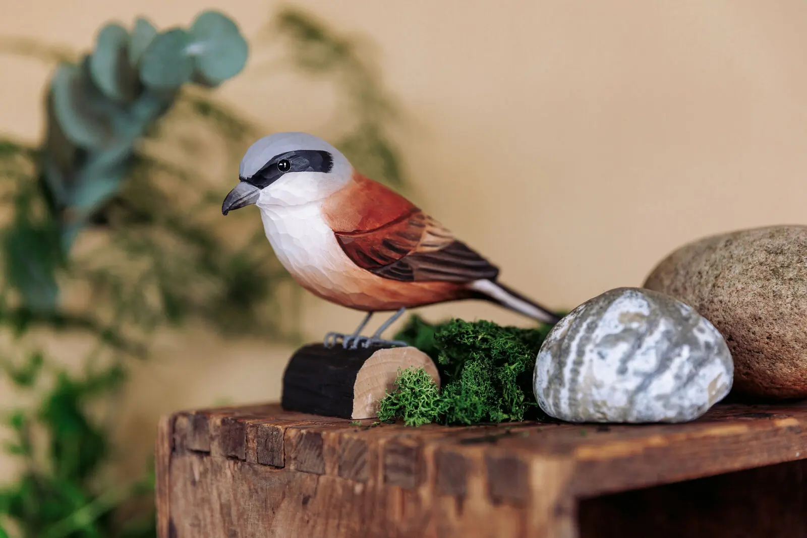Averla piccola (legno)
