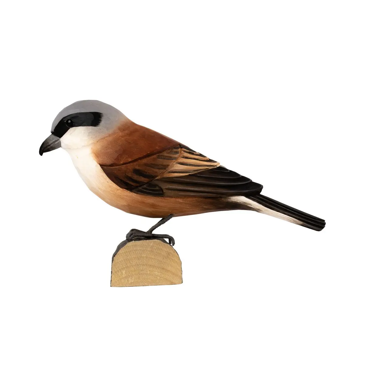 Averla piccola (legno)